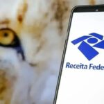 Imposto de Renda 2025: Recibos Físicos Aceitos Até Quando?