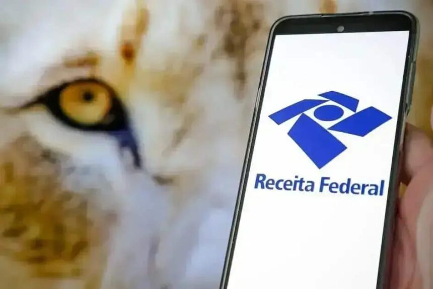 Imposto de Renda 2025: Recibos Físicos Aceitos Até Quando?